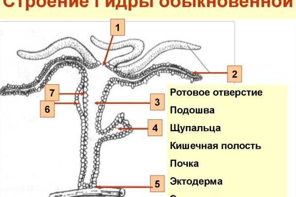 Блэкспрут официальный сайт bs2onion org