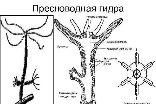 Порно сайты онион blacksprut adress com