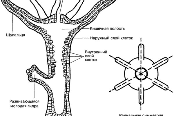 Ссылка официального сайта блэкспрут