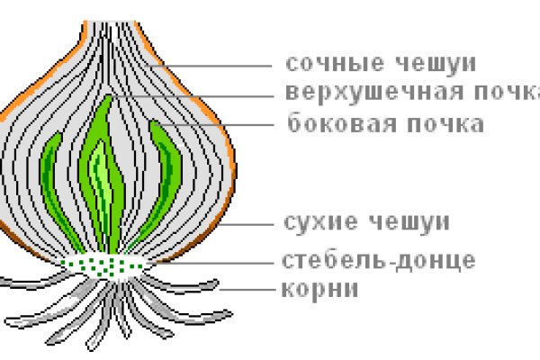 Как зайти на blacksprut через тор